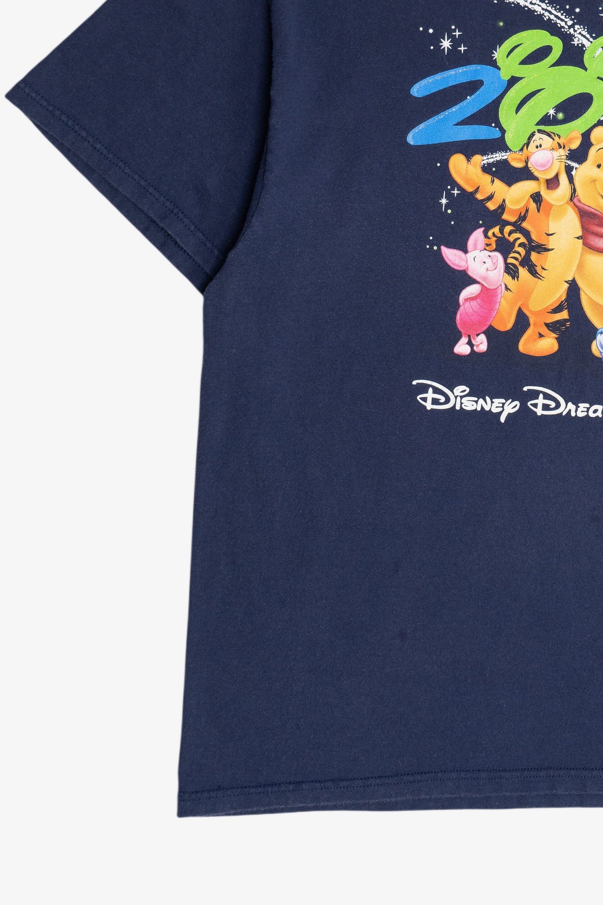 Vintage 2003 "Disney Dreams Florida" Winnie The Pooh Disney T-Shirt (2000s)