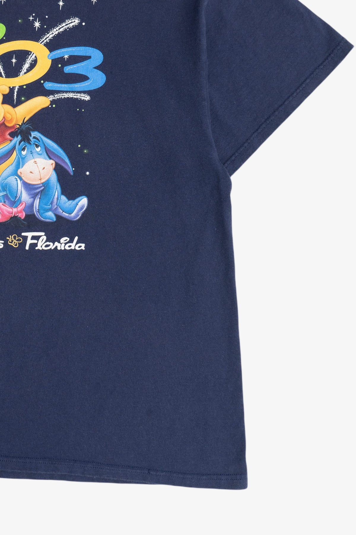 Vintage 2003 "Disney Dreams Florida" Winnie The Pooh Disney T-Shirt (2000s)