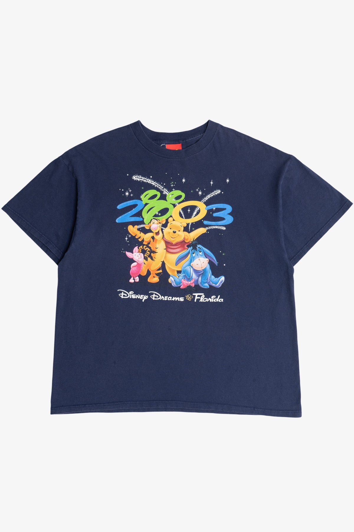 Vintage 2003 "Disney Dreams Florida" Winnie The Pooh Disney T-Shirt (2000s)