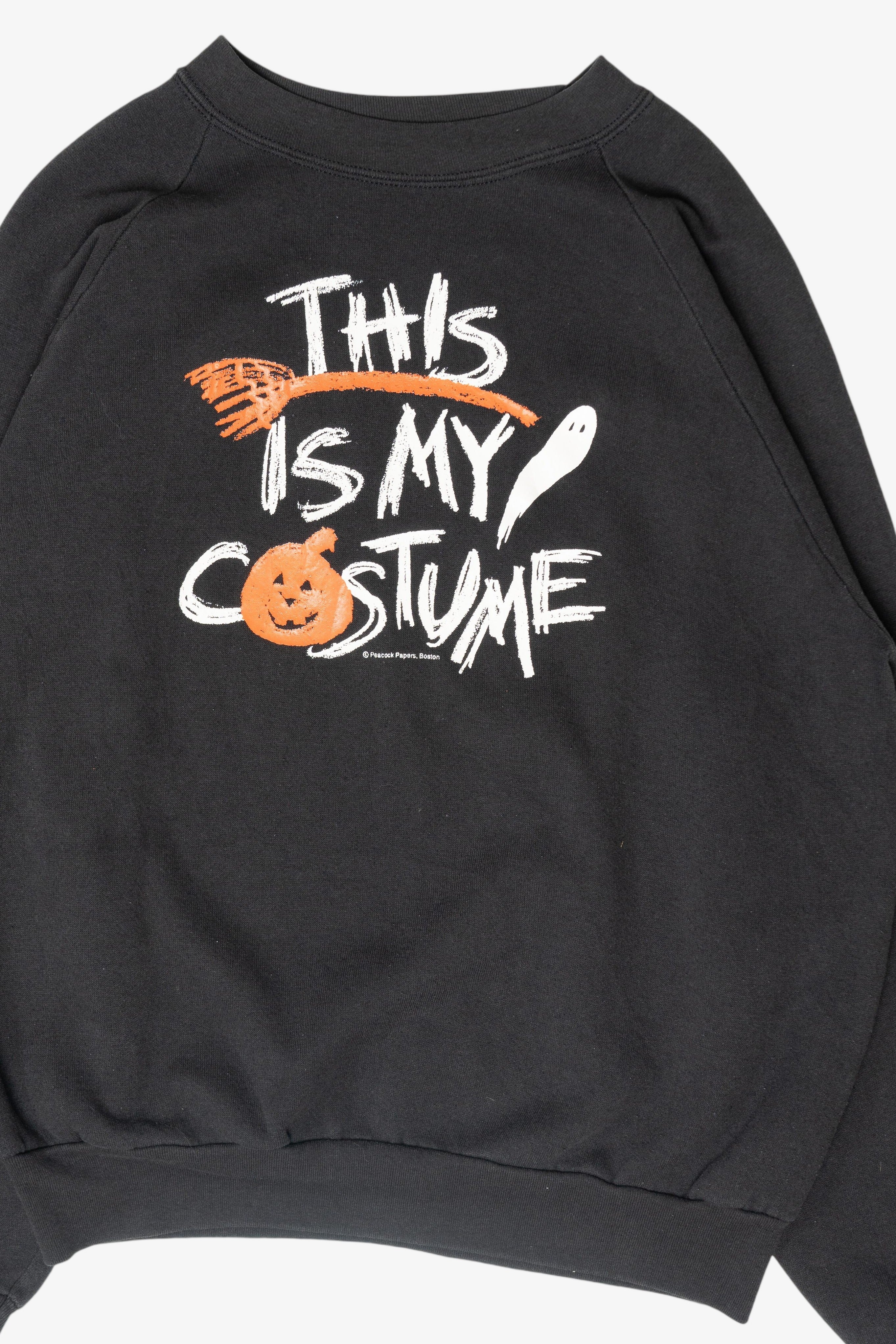 "This is My Costume" Halloween Sweatshirt (2010s)