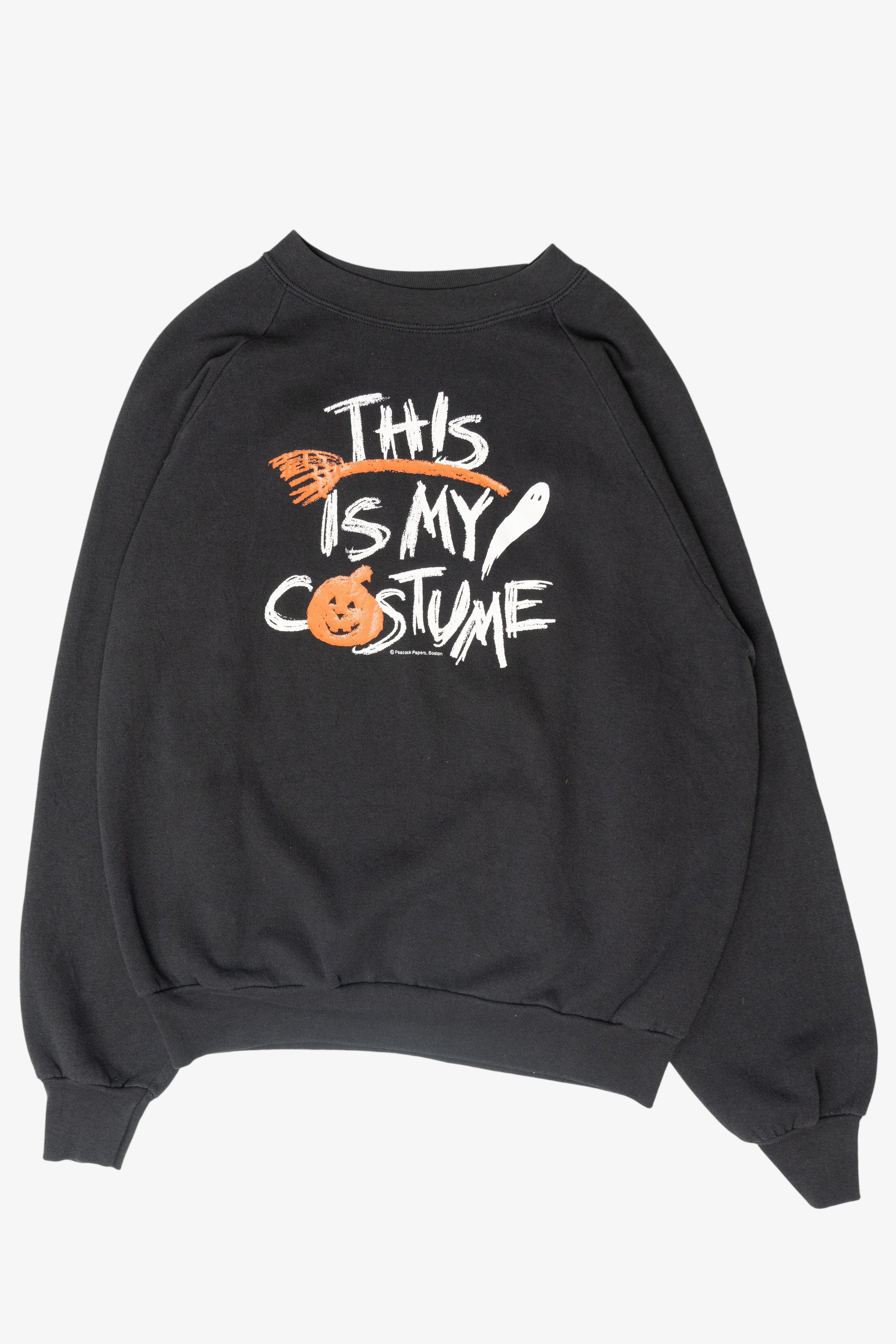 "This is My Costume" Halloween Sweatshirt (2010s)