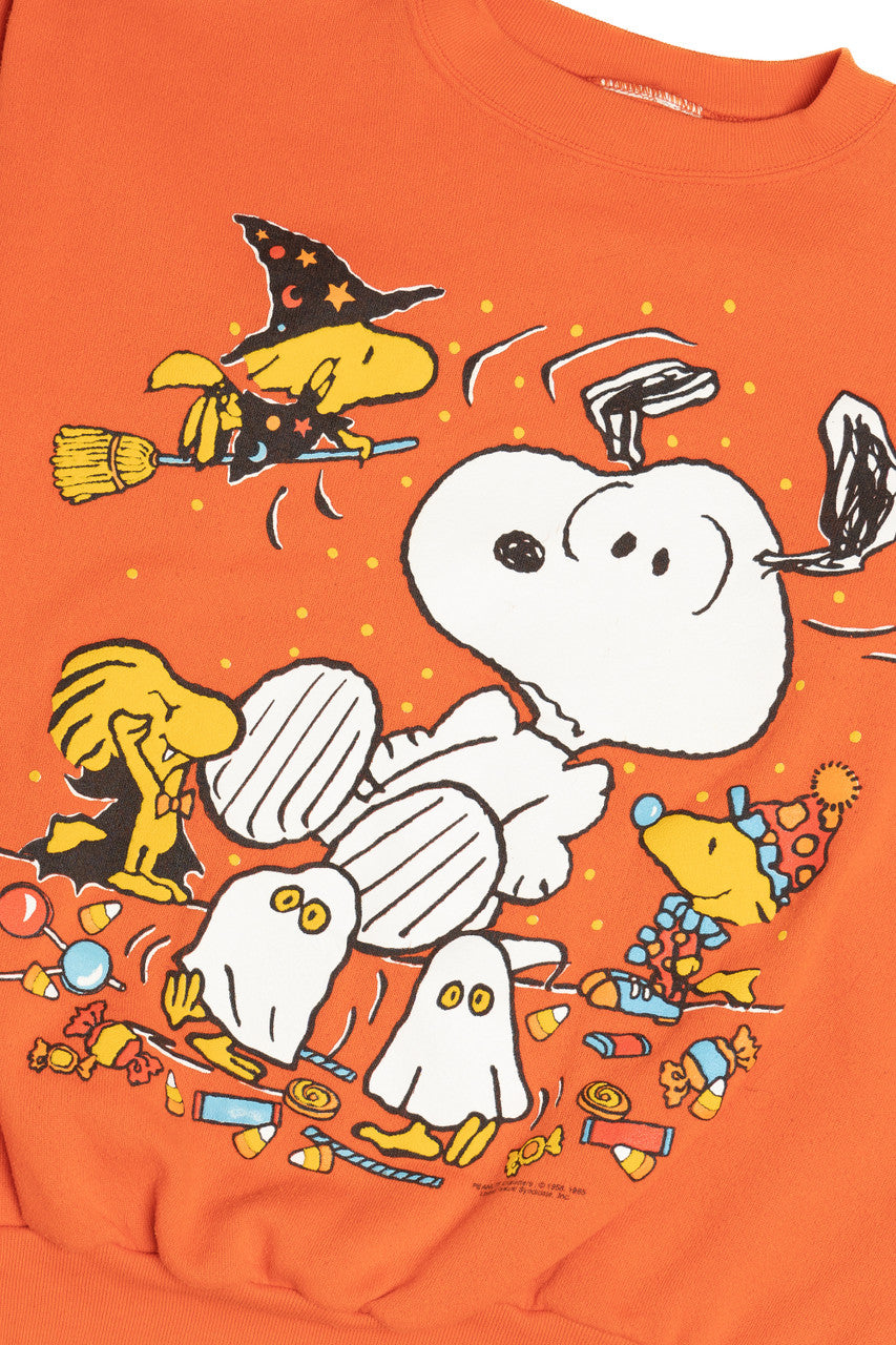 Vintage Snoopy & Woodstock Trick Or Treaters Halloween Sweatshirt (1990s)