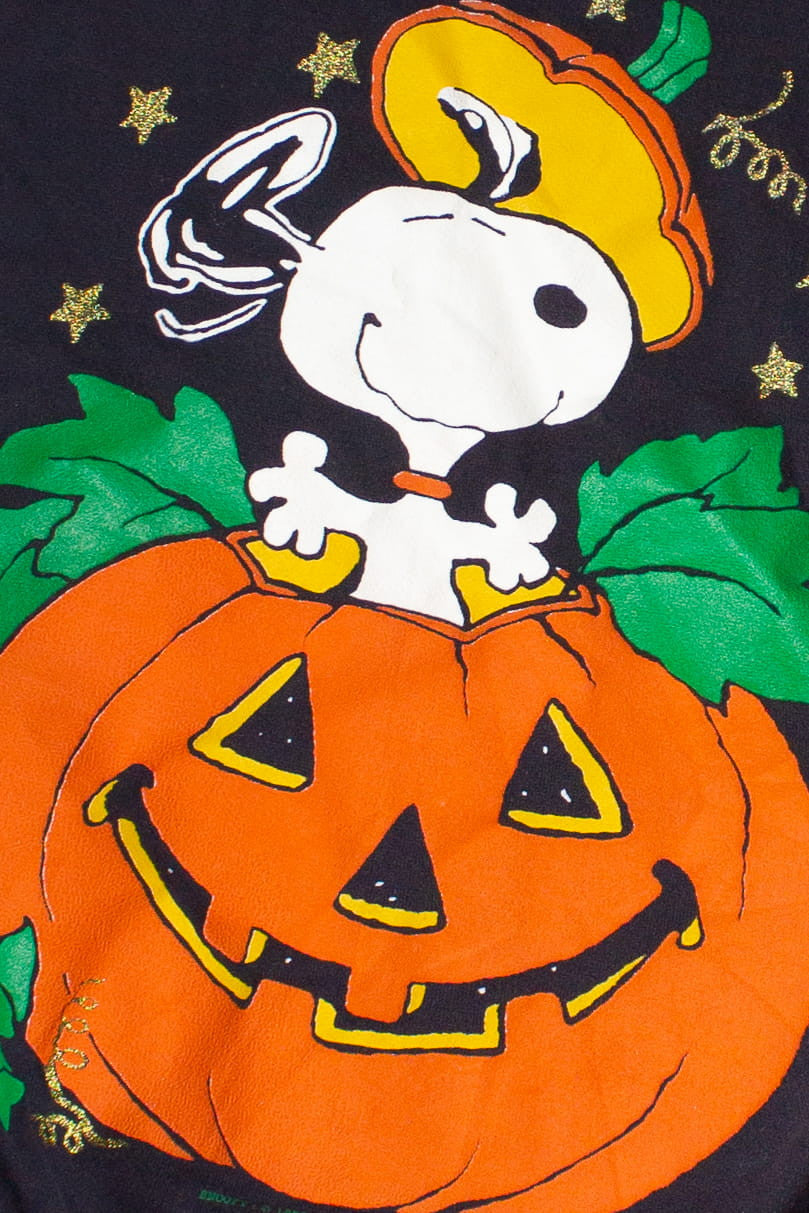 Vintage Snoopy In A Pumpkin Halloween Sweatshirt (1990s)