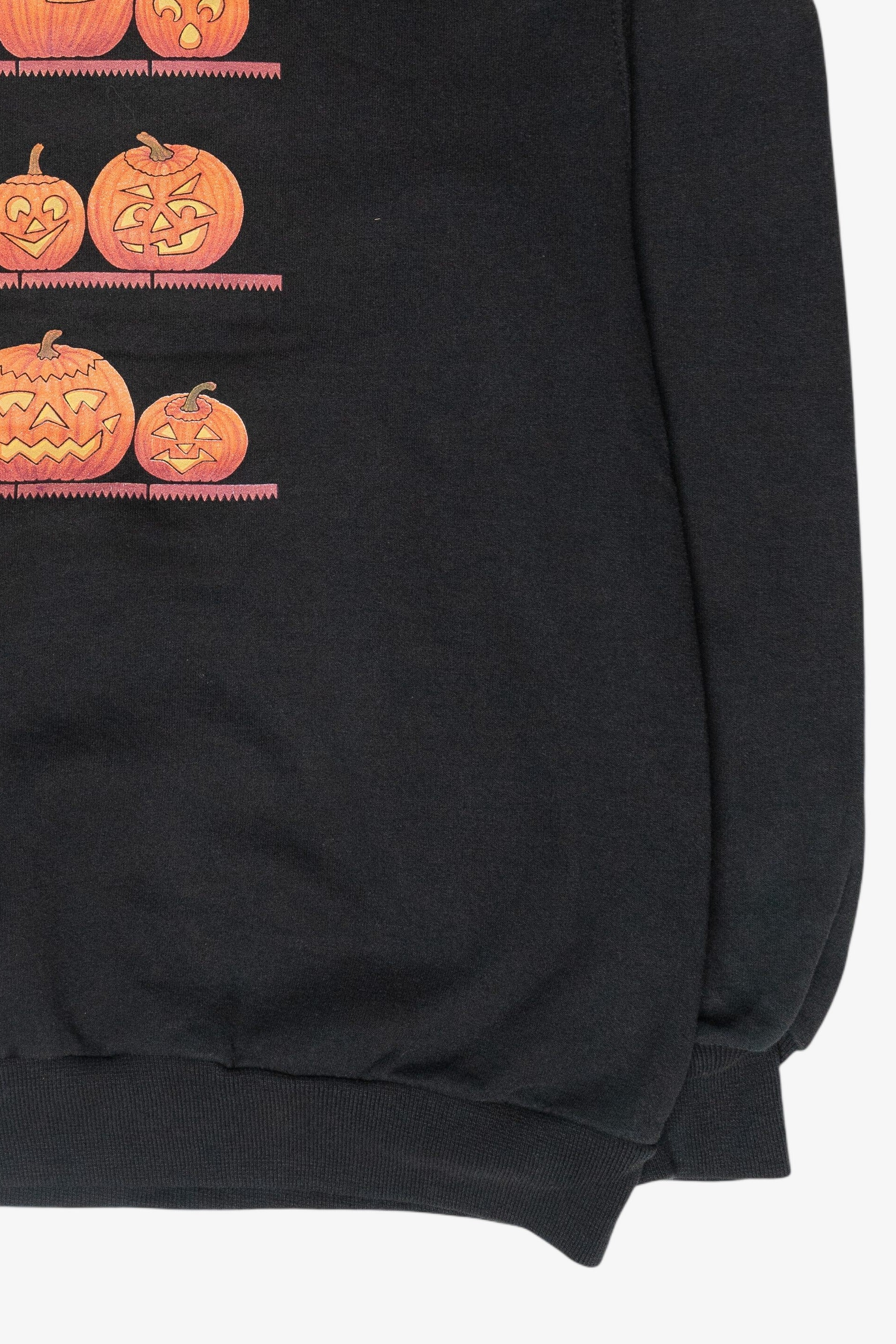 Pumpkin Patch Vintage Halloween Sweatshirt (1990s)