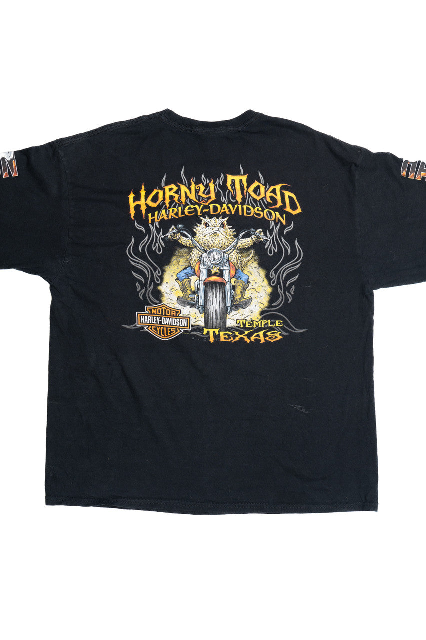 Harley Davidson Horny Toad "Temple Texas" Long Sleeve T-Shirt (2010s)
