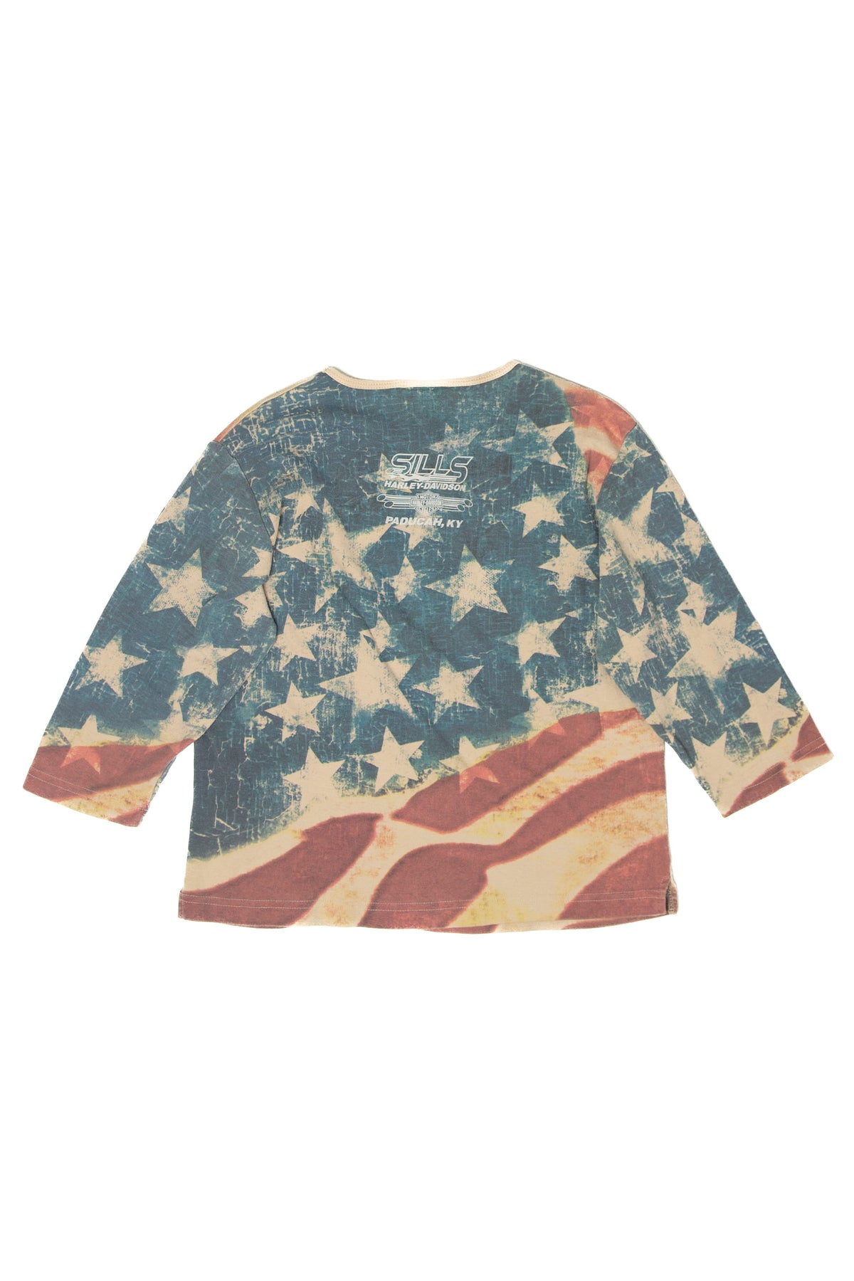 Vintage Y2K "Freedom Pride Tradition" American Flag Harley Davidson T-Shirt (2000s)