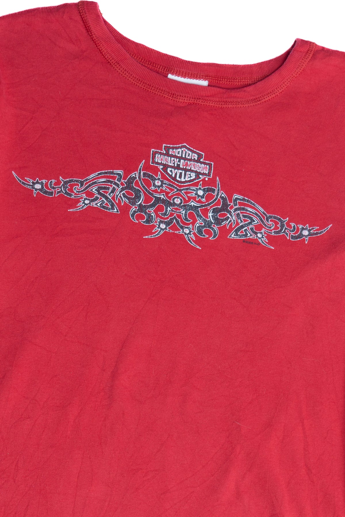 Harley Davidson Horny Toad Glittery Flame Long Sleeve Ribbed T-Shirt