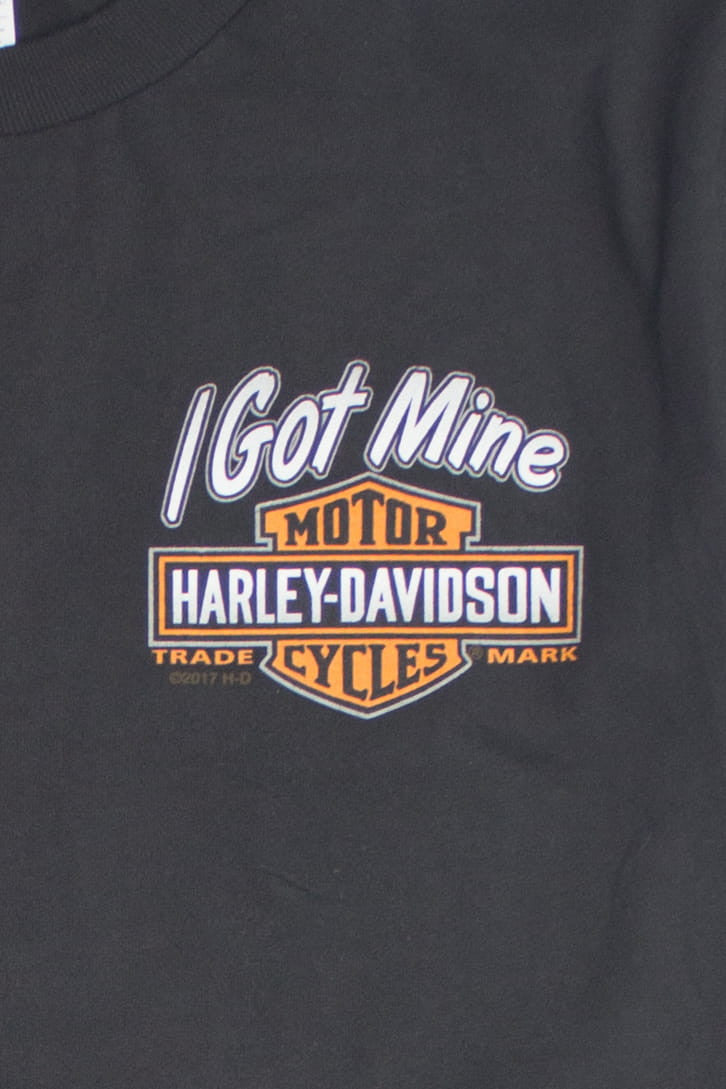 Vintage Pocono Mountain Harley Davidson T-Shirt