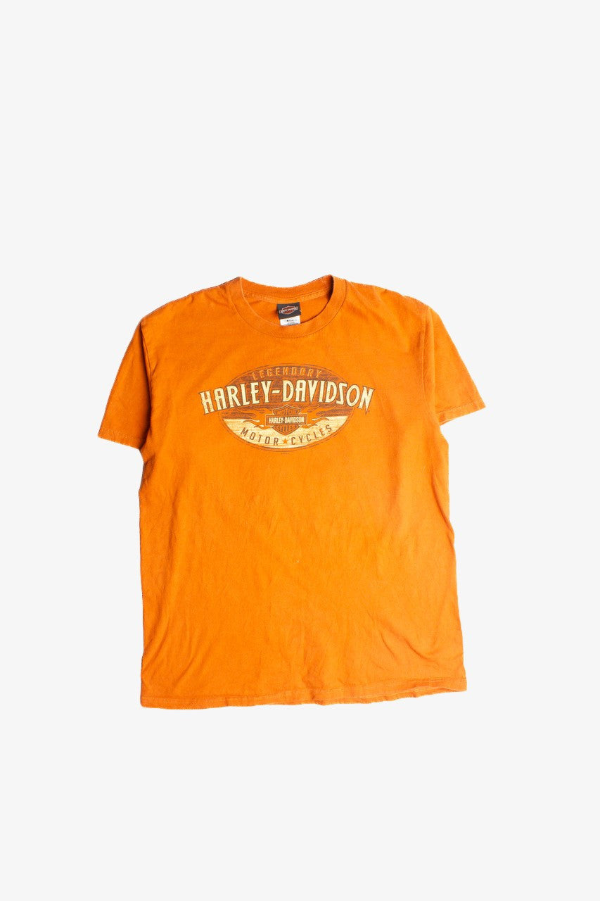 Harley Davidson T-Shirt (2000s) 741