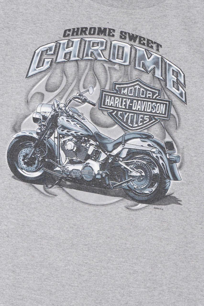 "Chrome Sweet Chrome" Harley Davidson Poconos Eagle T-Shirt