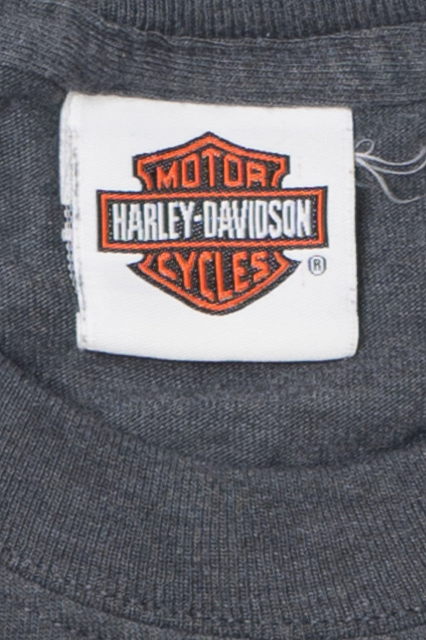 Harley Davidson "Vintage Iron" Pin-Up T-Shirt