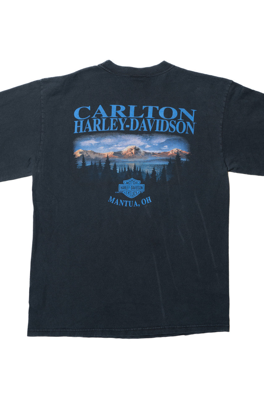 Vintage Y2K Harley Davidson Mantua, OH Flame Sleeves T-Shirt