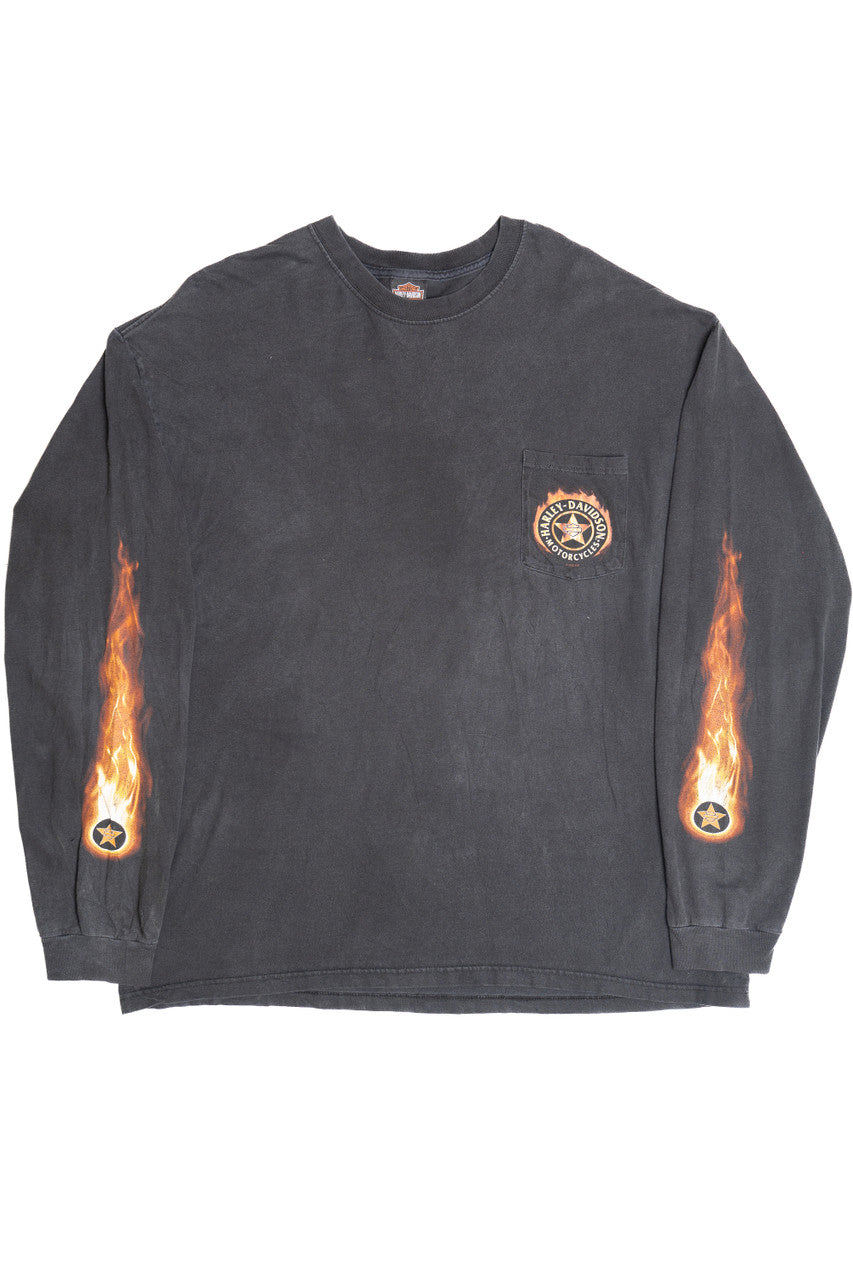 Harley Davidson Wildcat "Let Freedom Roar" Flame Sleeves T-Shirt
