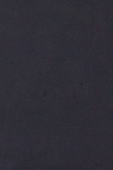 Black Hills Harley Davidson Wolf T-Shirt (2018)