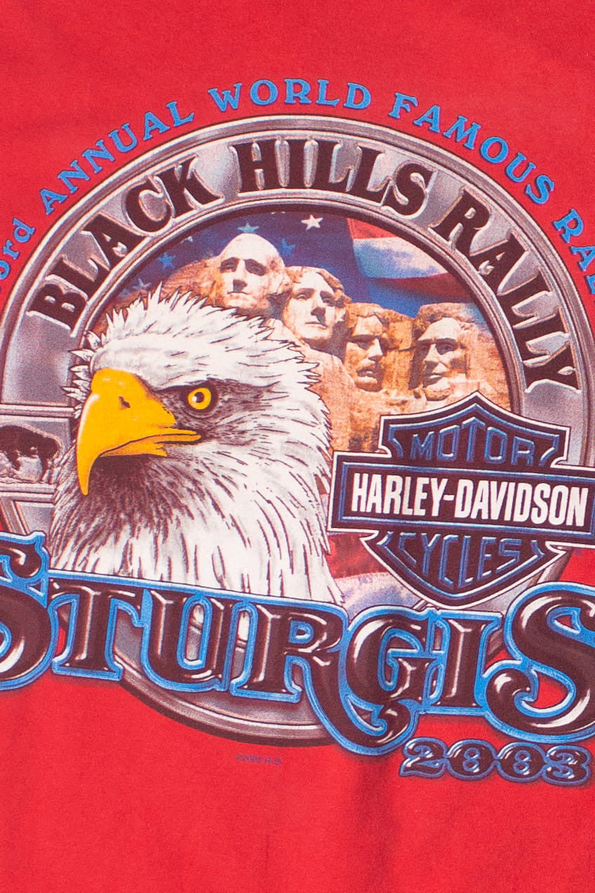 Vintage Sturgis Rally Harley Davidson T-Shirt (2003)
