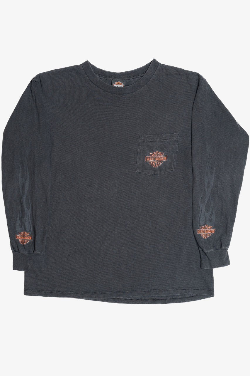 Harley Davidson Faded Flame Sleeve "Flaming Gorge" Long Sleeve T-Shirt (2000s)