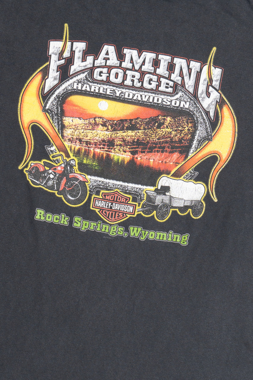 Harley Davidson Faded Flame Sleeve "Flaming Gorge" Long Sleeve T-Shirt (2000s)