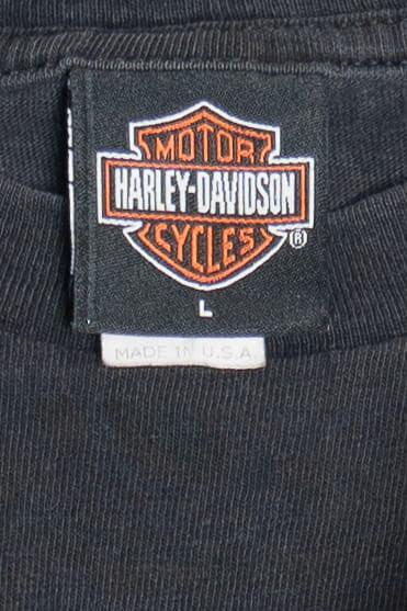 Harley Davidson Faded Flame Sleeve "Flaming Gorge" Long Sleeve T-Shirt (2000s)