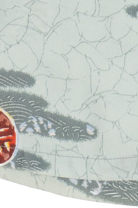 Rare Vintage Hawaiian Shirt With Loop Collar Made In Hawaii By Iolani 40s/50s