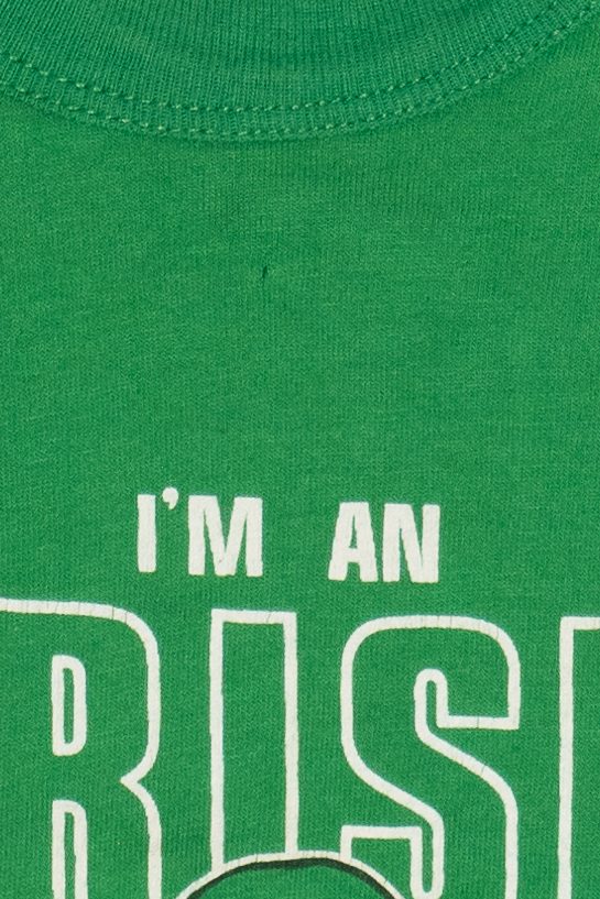 Vintage Taz "I'm An Irish Party Animal" Looney Tunes T-Shirt (1990s)
