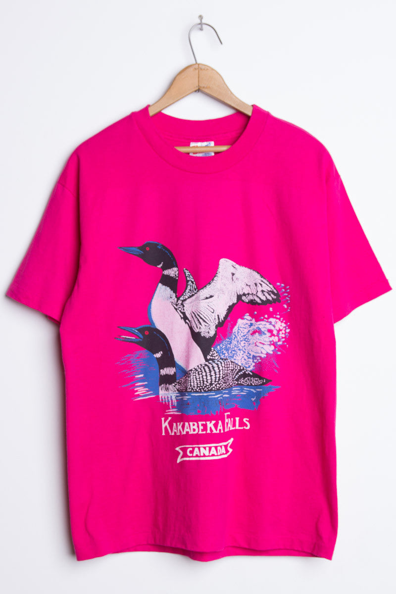 Kakabeka Falls T-Shirt