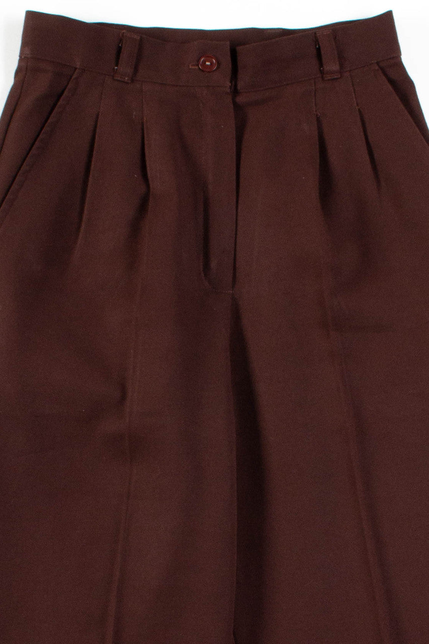 Brown Pleated Pants (sz. 6 Petite)