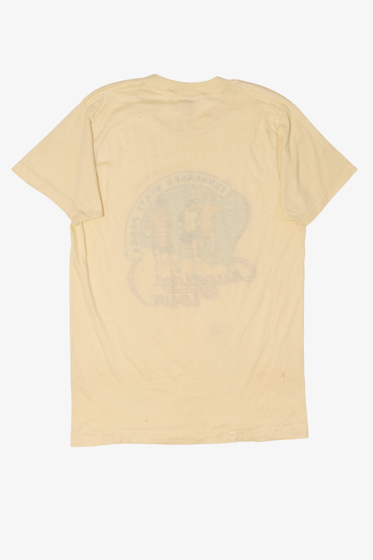 Vintage Tennessee State Parks Running Tour T-Shirt (1980s)