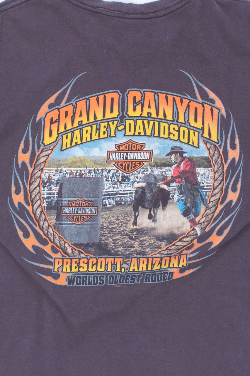 Grand Canyon Harley Davidson T-shirt 2