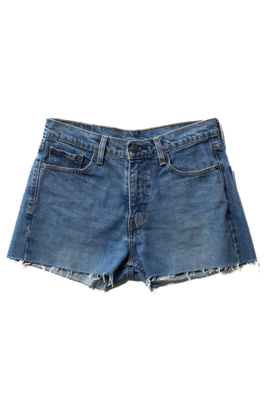 Levi's 505 Cut Off Denim Shorts (sz. 30)