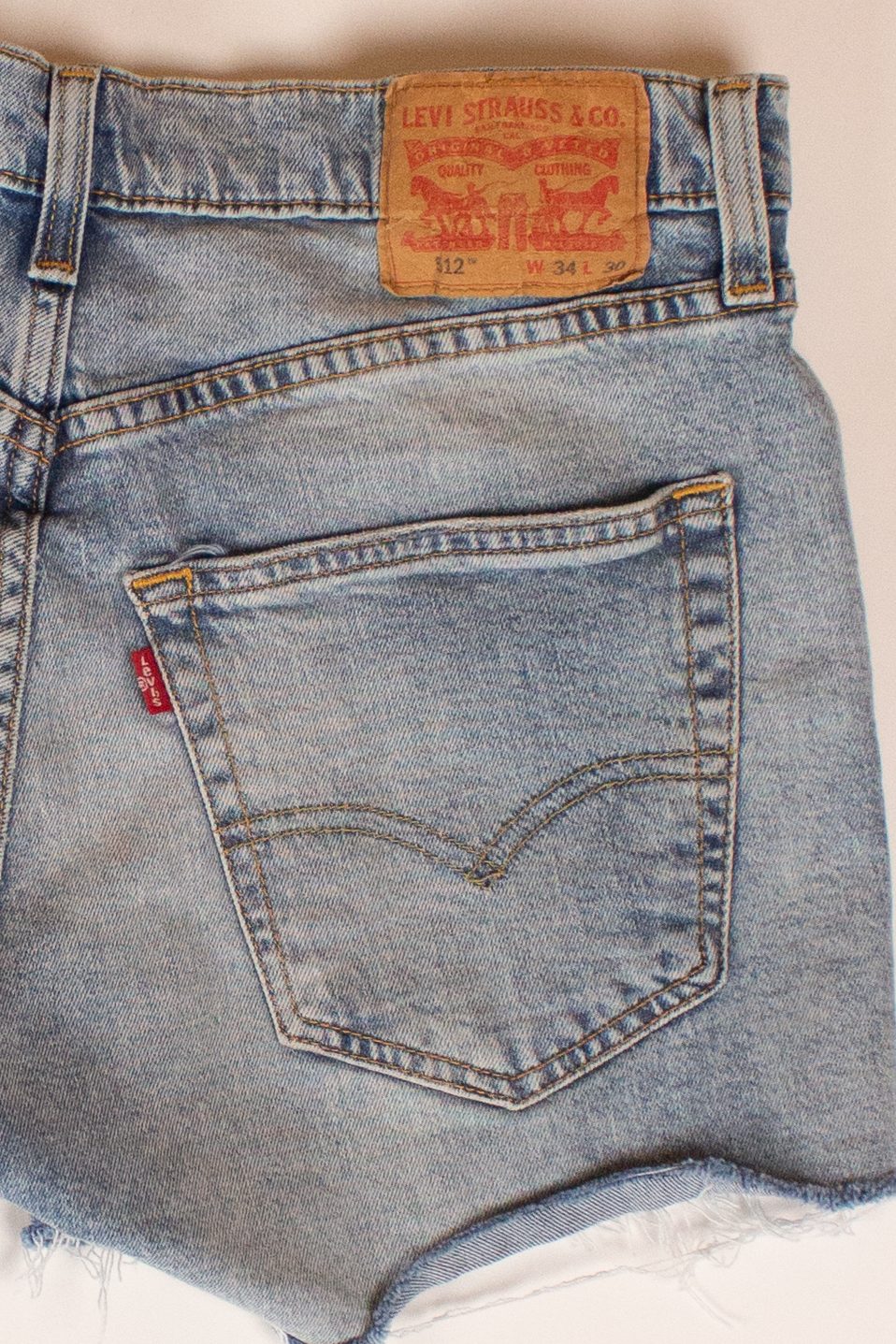 Levi's Dragonfly Embroidered Cutoff Denim Shorts (2000s)