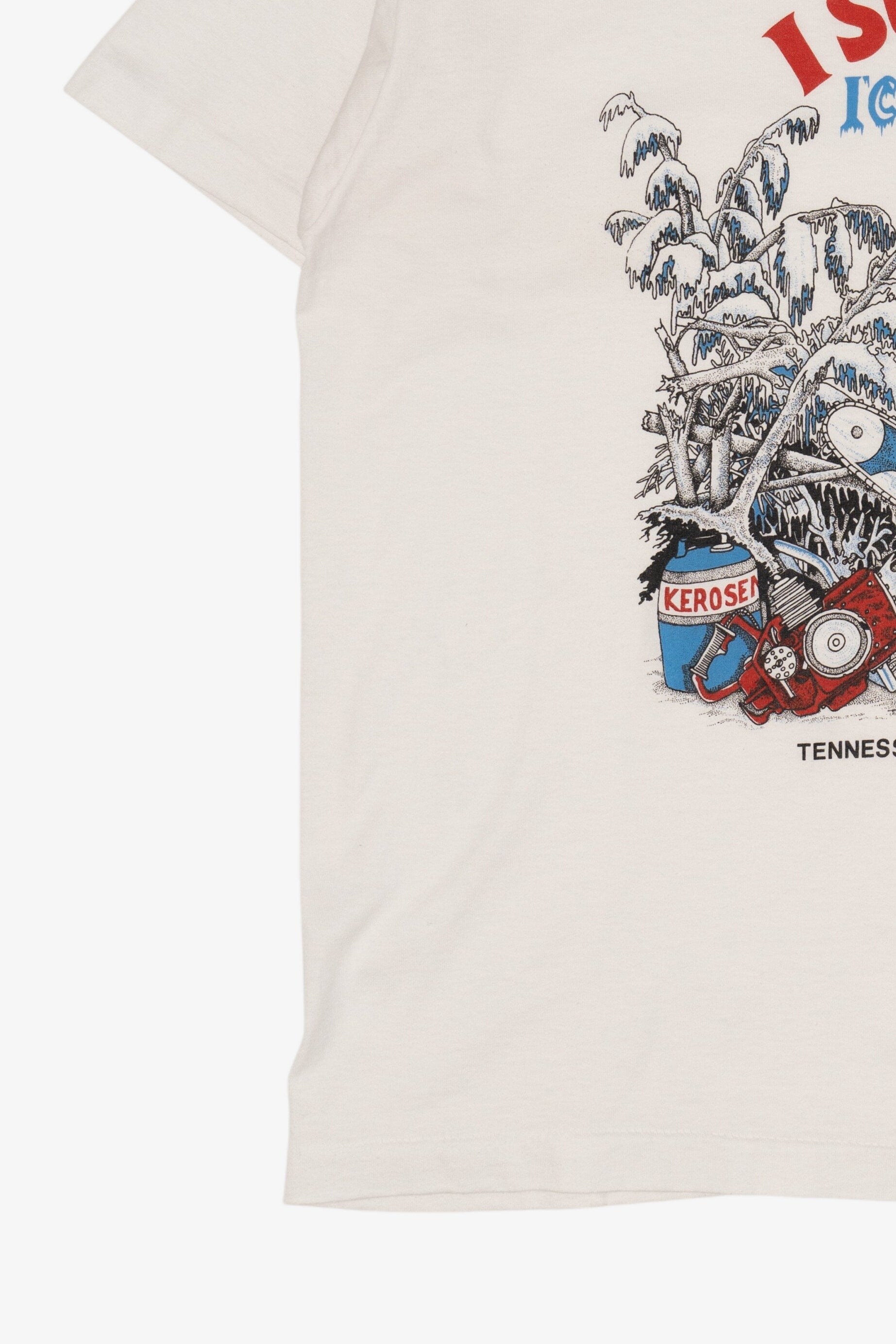 Vintage "I Survived The Ice Storm of '94" Tennessee T-Shirt (1990s)