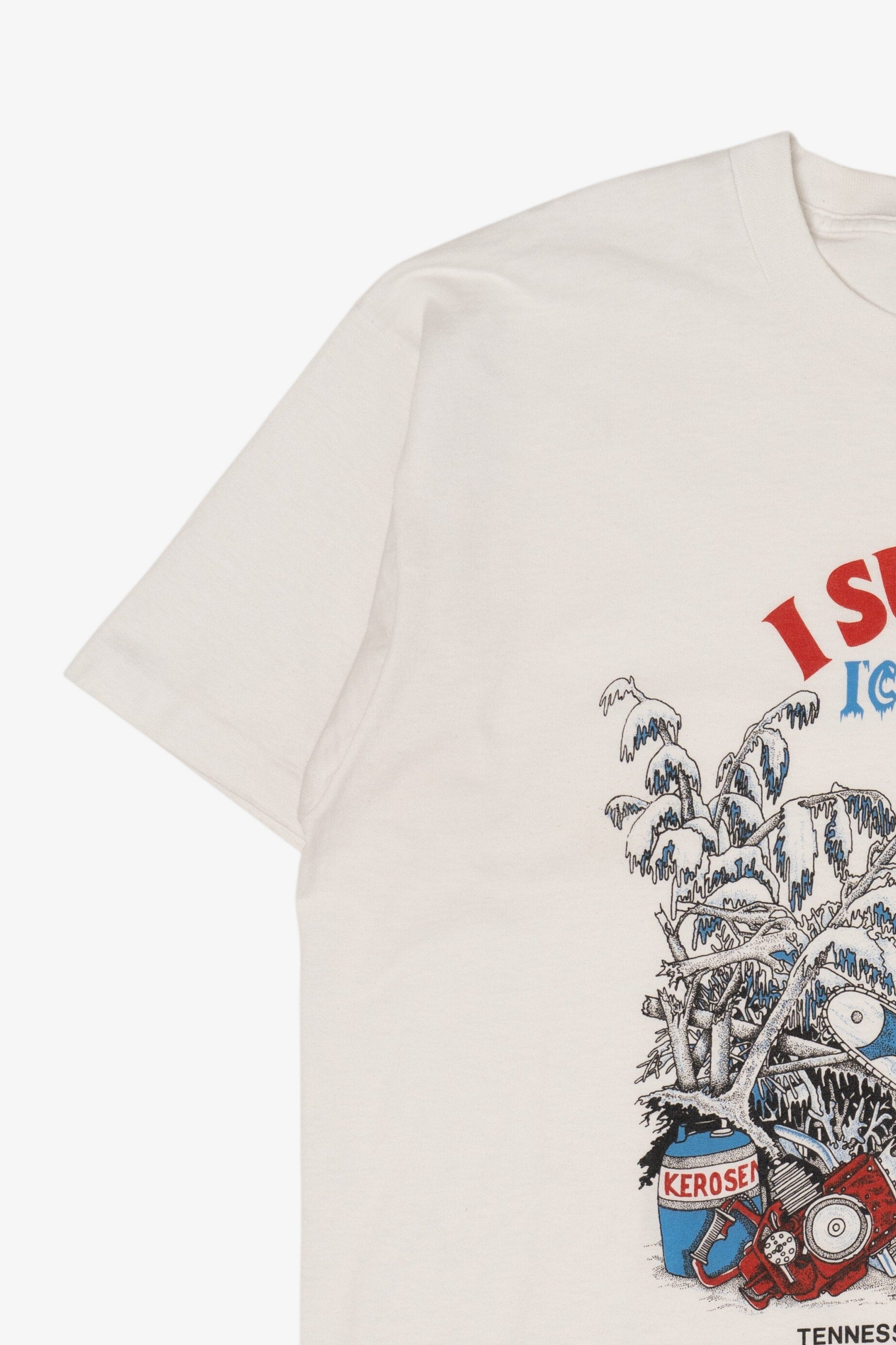 Vintage "I Survived The Ice Storm of '94" Tennessee T-Shirt (1990s)