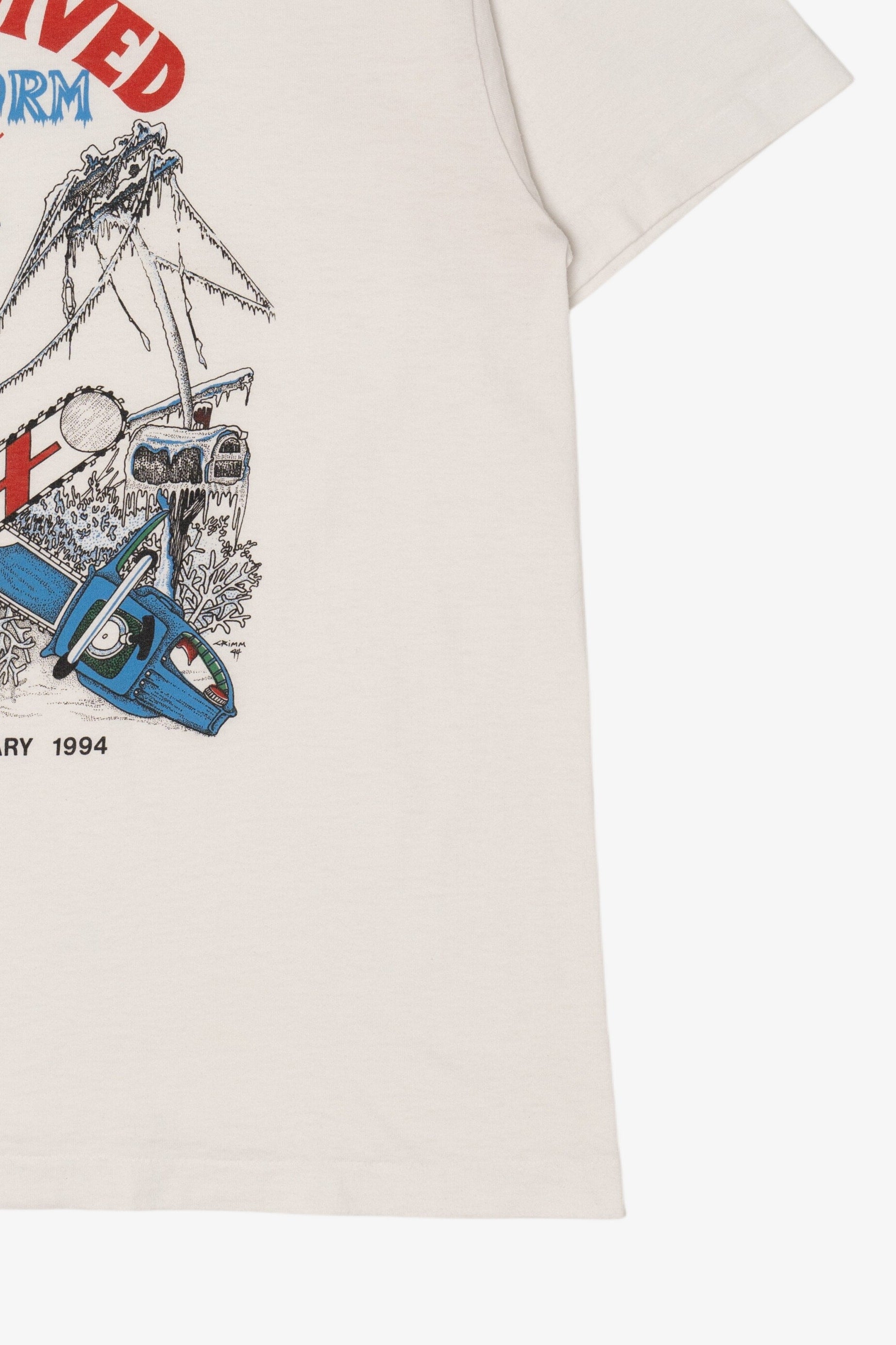 Vintage "I Survived The Ice Storm of '94" Tennessee T-Shirt (1990s)