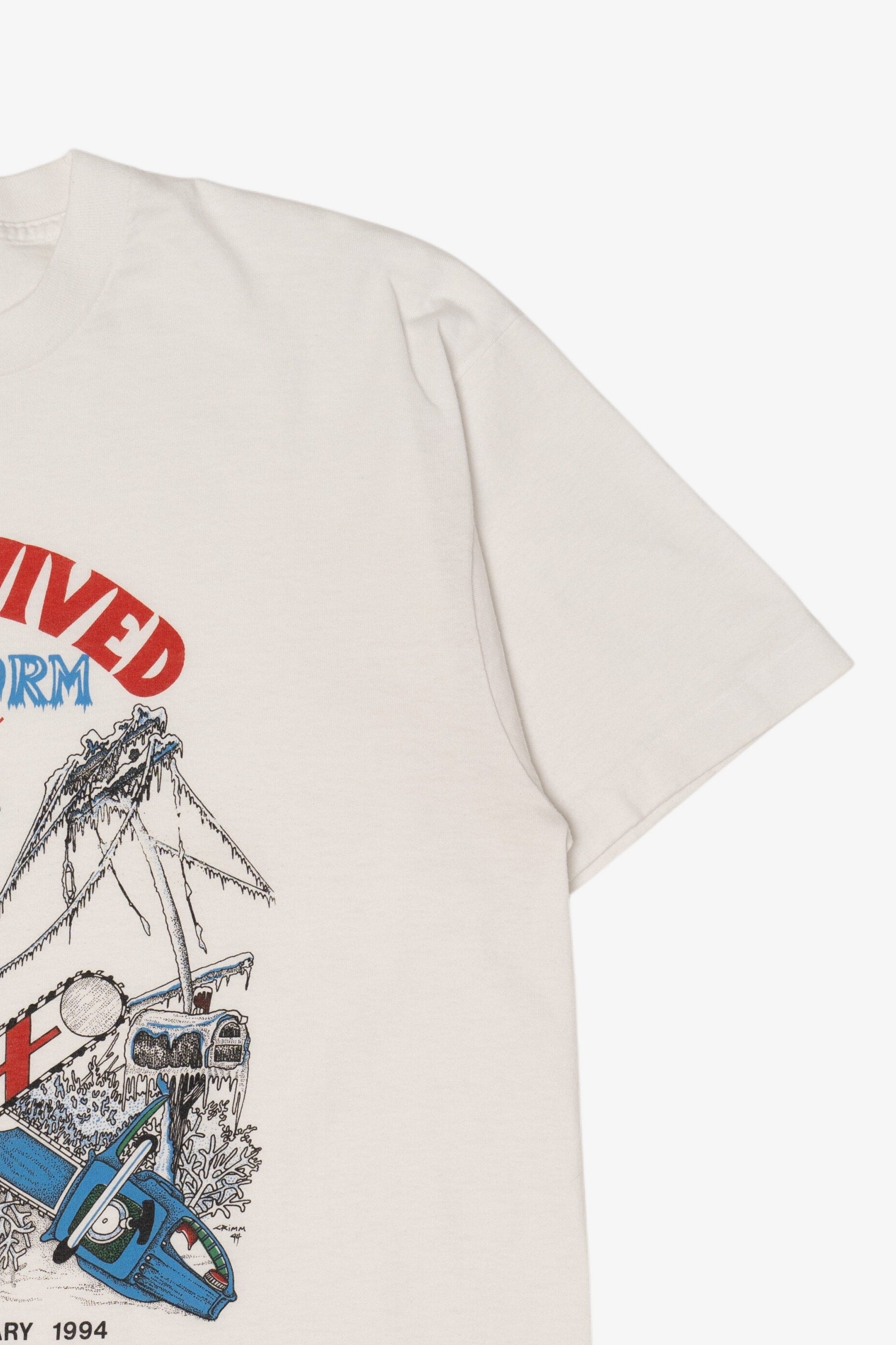 Vintage "I Survived The Ice Storm of '94" Tennessee T-Shirt (1990s)