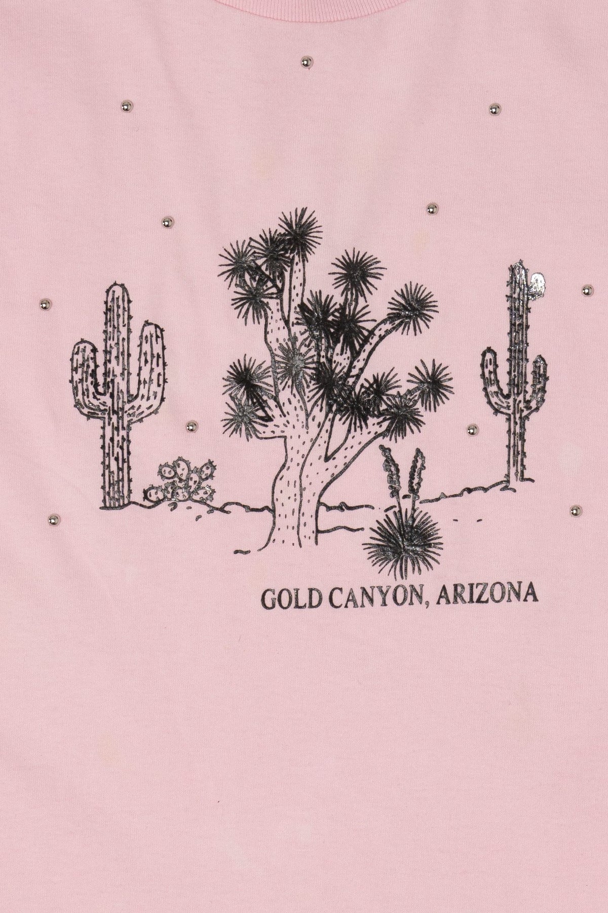 Vintage Pink Gold Canyon, Arizona T-Shirt (2000s)