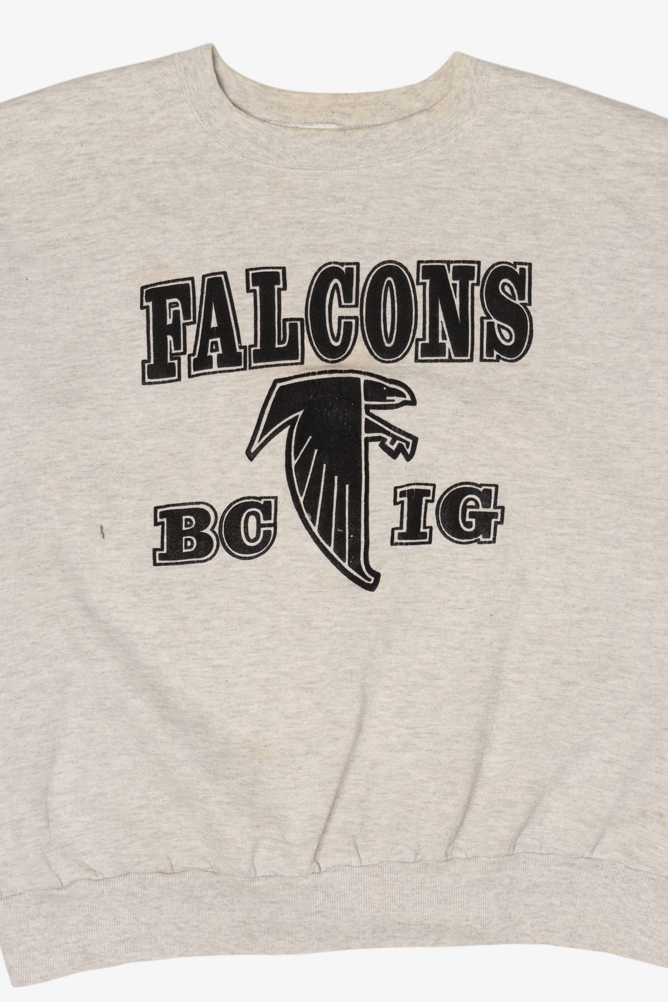 Vintage Atlanta Falcon Jerzees Sweatshirt (1990s)