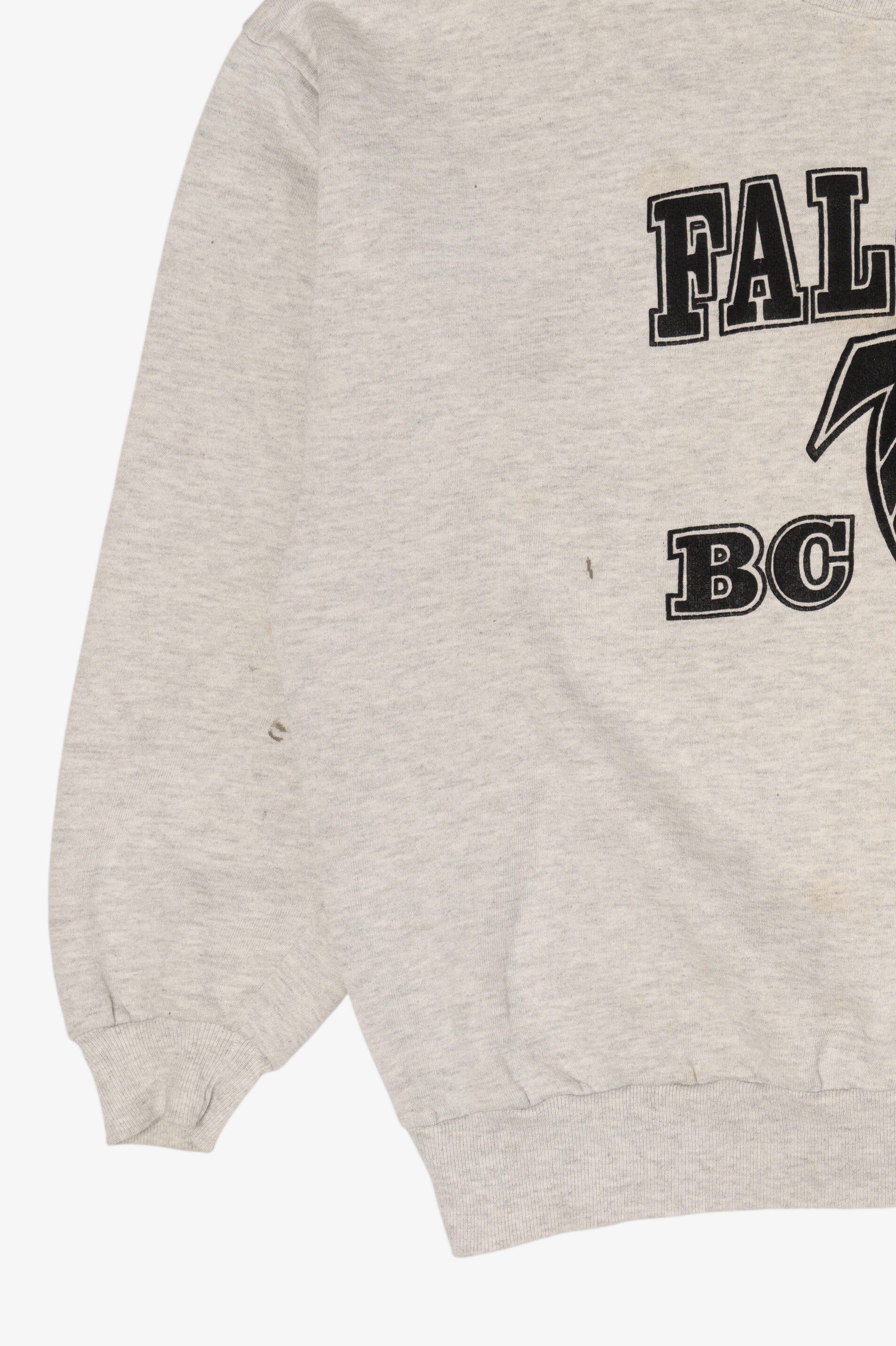 Vintage Atlanta Falcon Jerzees Sweatshirt (1990s)