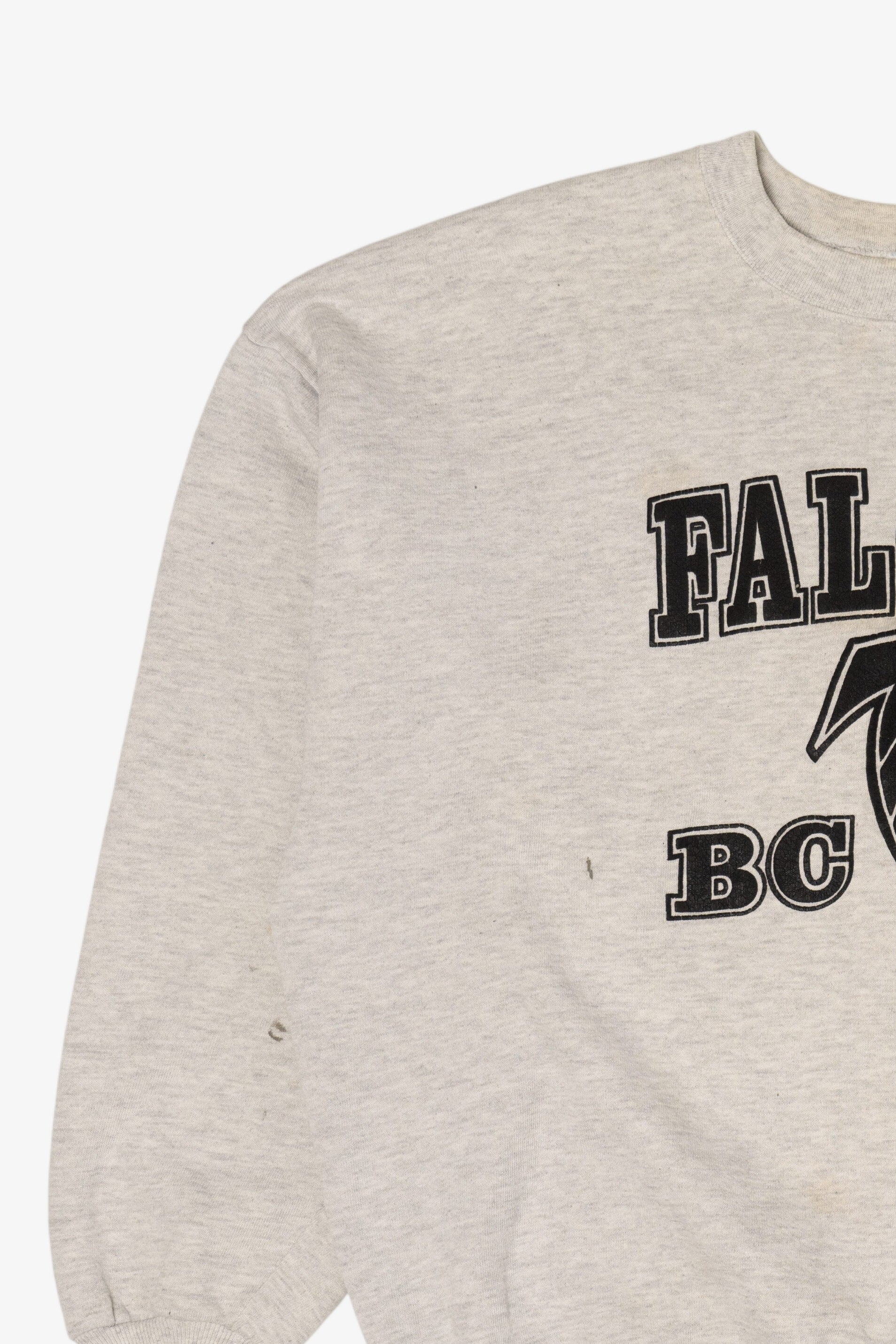 Vintage Atlanta Falcon Jerzees Sweatshirt (1990s)