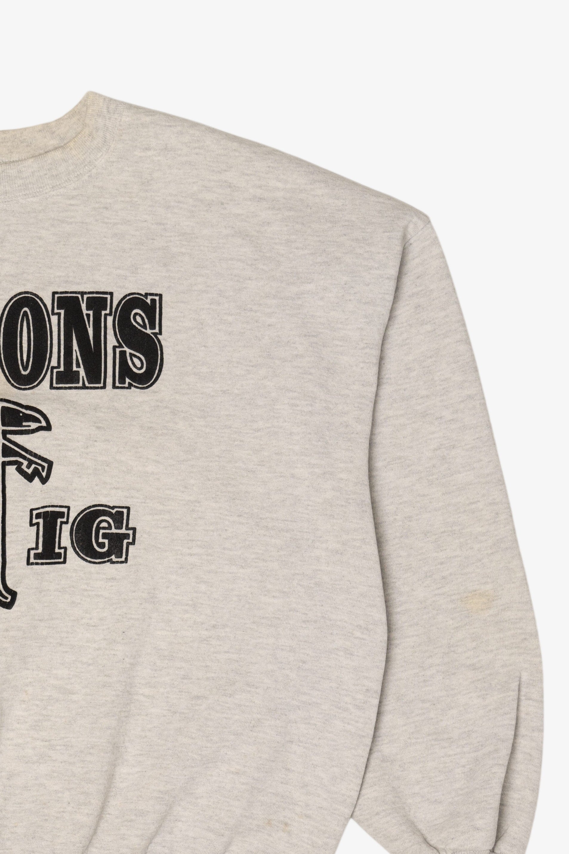 Vintage Atlanta Falcon Jerzees Sweatshirt (1990s)
