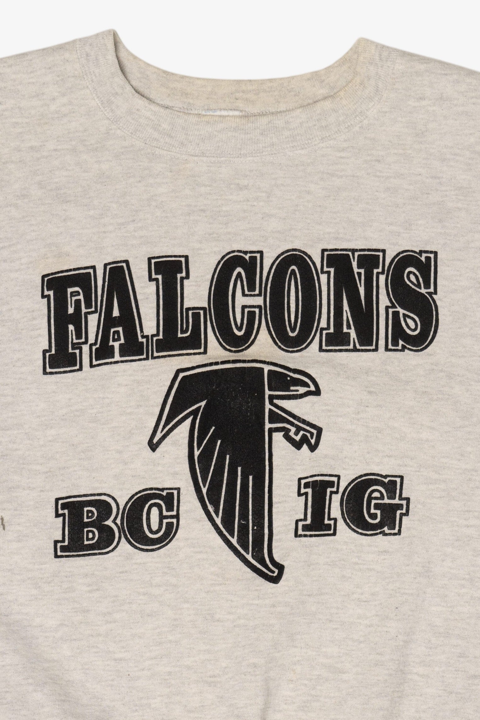 Vintage Atlanta Falcon Jerzees Sweatshirt (1990s)