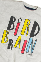 Recycled Bird Brain Apparel Sweatshirt