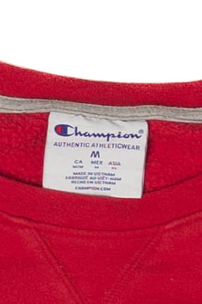 Vintage Wisconsin Badgers Sweatshirt (2000s)