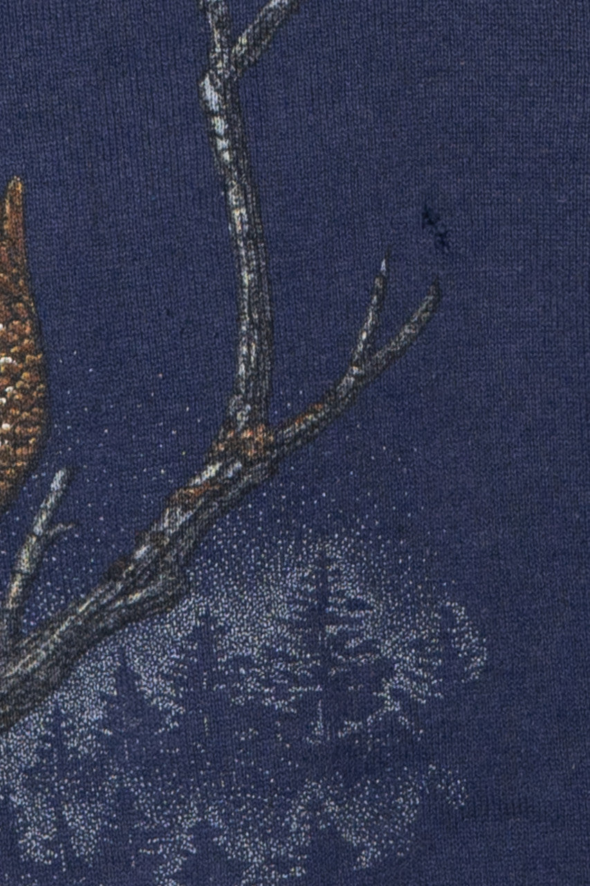Vintage Eagle And Moon Graphic Sweatshirt