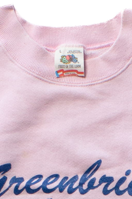 Vintage Greenbrier Valley WBA Sweatshirt (1990s)