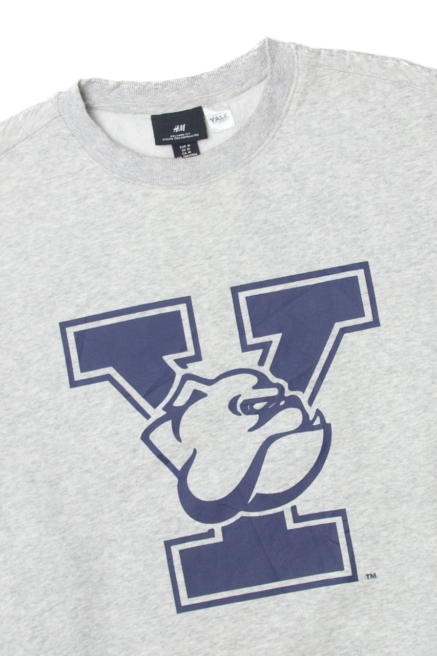 H&M Yale Bulldog logo Sweatshirt
