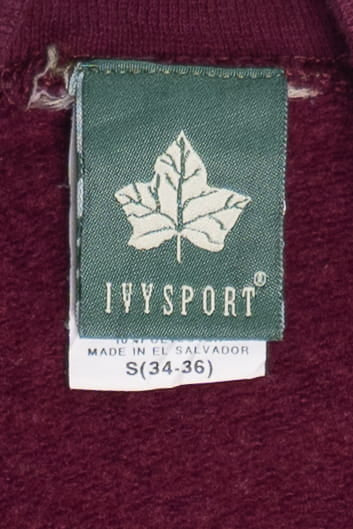 Vintage Harvard Ivy Sport Sweatshirt (1990s)