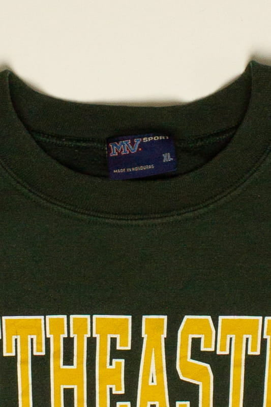 Vintage Southeastern College Sweatshirt (1990s (estimated))