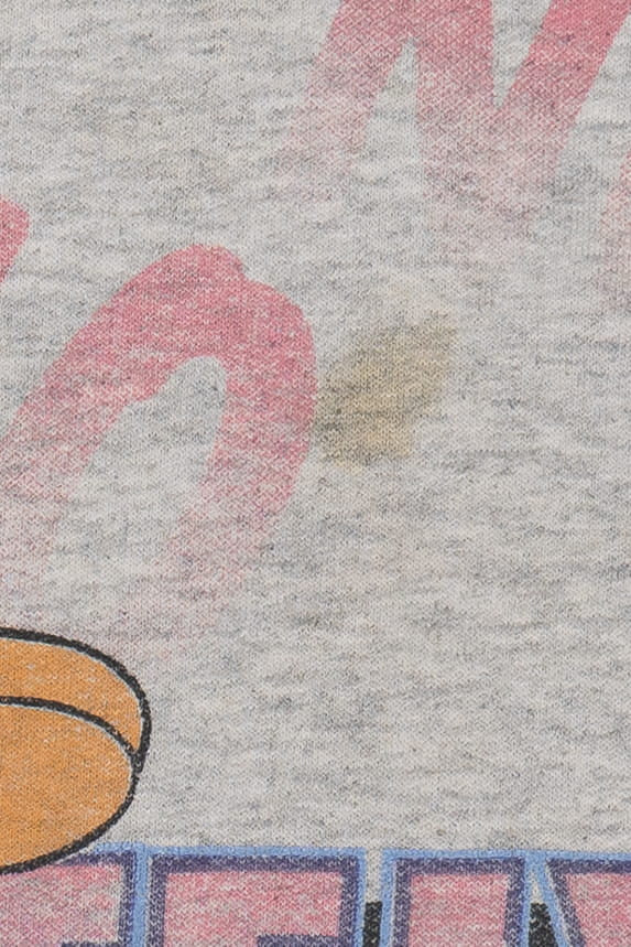 Vintage Tweety Bird "Absolutely Not!" Looney Tunes Lightweight Sweatshirt (1990s)