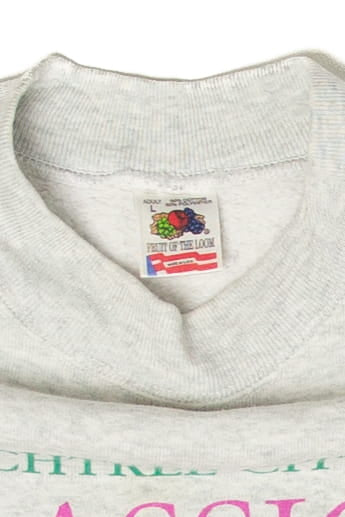 Vintage Peachtree City Classic RRCA National Championship 15k Sweatshirt (1990s)