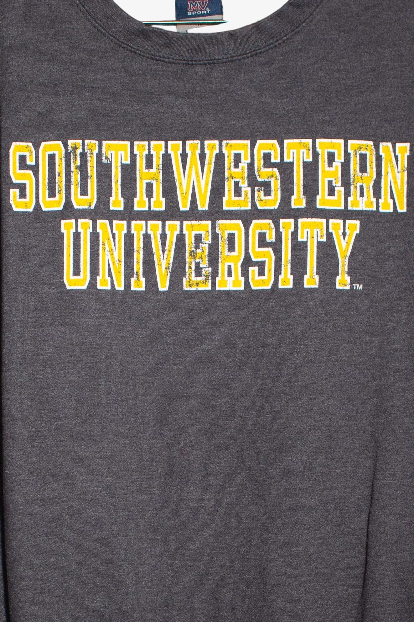 Vintage Southwestern University Sweatshirt (1990s)